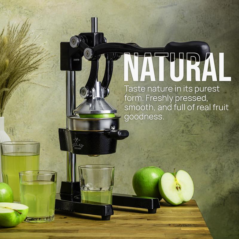 Heavy-Duty Cast Iron Citrus Juicer Press